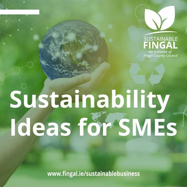 Sustainable Fingal campaign graphic